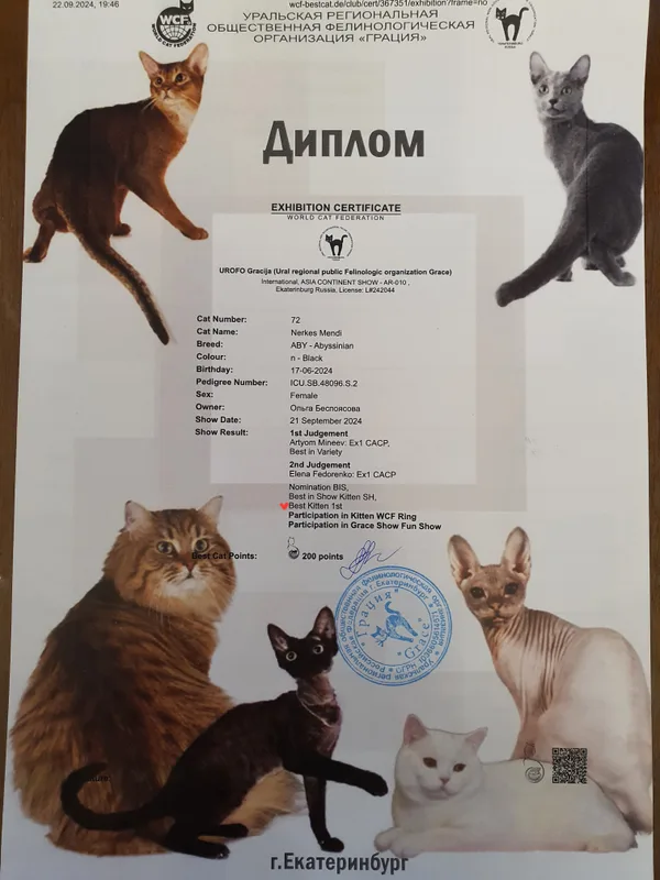 Диплом ORENABY 2