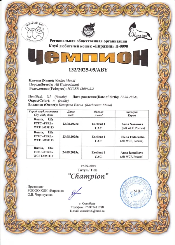 Диплом ORENABY 5