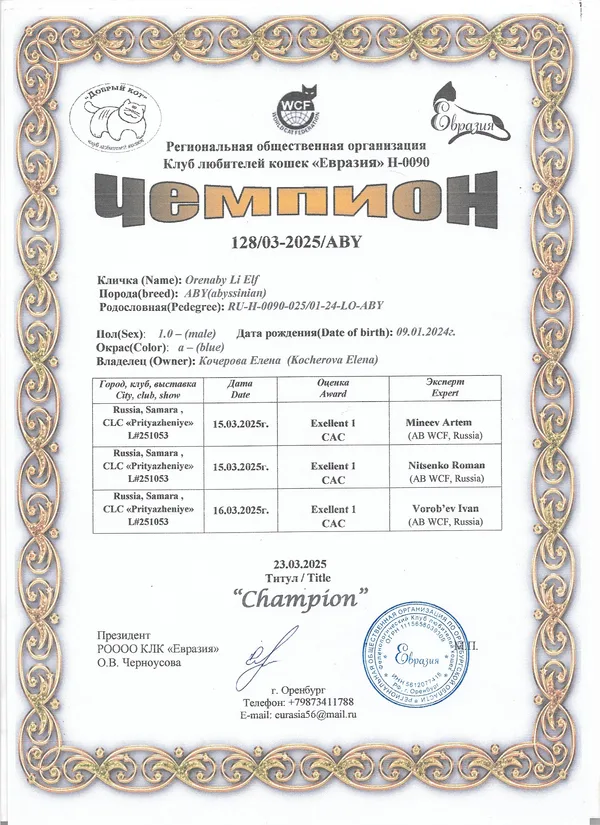 Диплом ORENABY 6